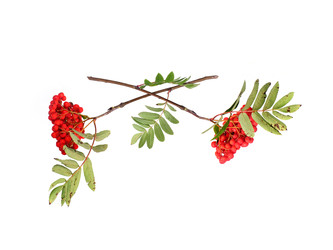 Similar image 22254668