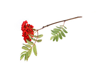 Similar image 22254669