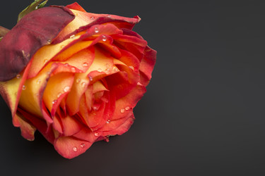 Similar image 22259154