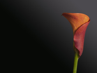 Similar image 22259155