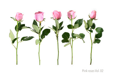 Similar image 22259157