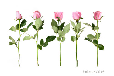 Similar image 22259158