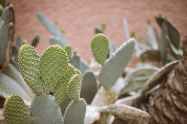 Similar image 22289881