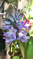 Similar image 22279821