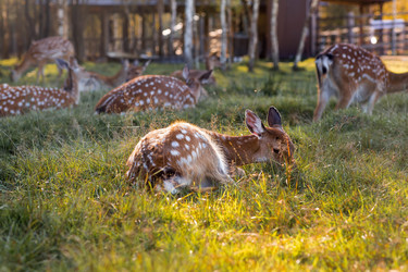 Similar image 22248892