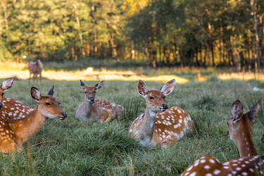 Similar image 22248893