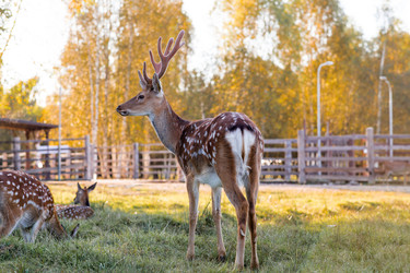 Similar image 22248895