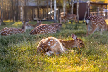 Similar image 22248896