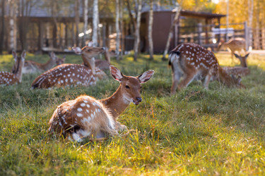 Similar image 22248897