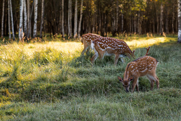 Similar image 22248898