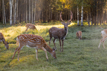 Similar image 22248900