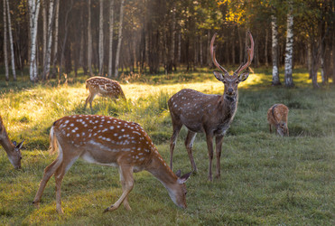 Similar image 22248901