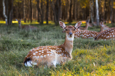 Similar image 22248905