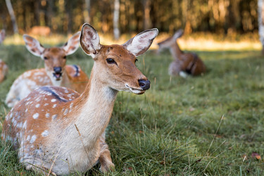 Similar image 22248906