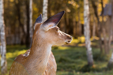 Similar image 22248907