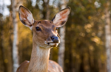 Similar image 22248908