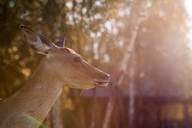 Similar image 22248910