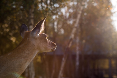 Similar image 22248911