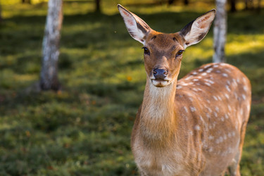 Similar image 22248912