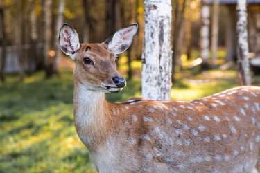 Similar image 22248914