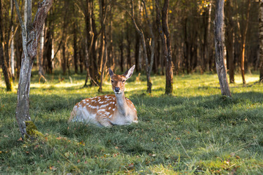 Similar image 22248915