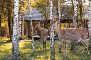 Similar image 22248916