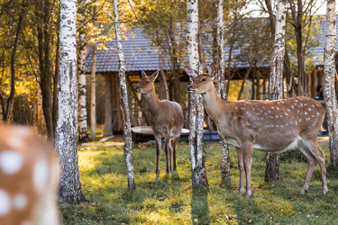 Similar image 22248917