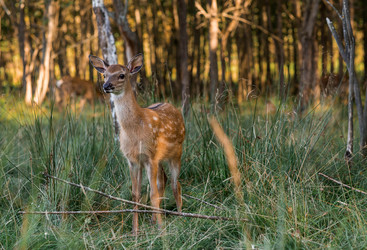 Similar image 22248919