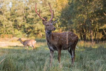 Similar image 22248922