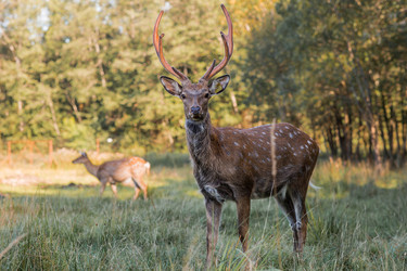 Similar image 22248923