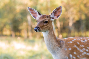 Similar image 22249312