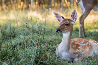 Similar image 22249314