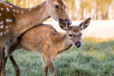 Similar image 22249315