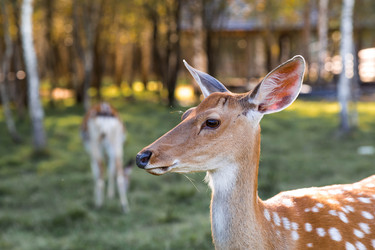 Similar image 22249316