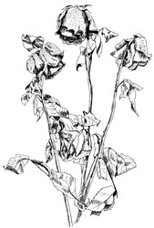 Similar image 22289697