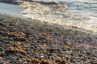 Similar image 22250923