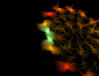 Similar image 22287108