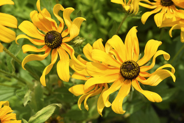 Similar image 22254088