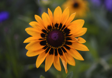 Similar image 22254277