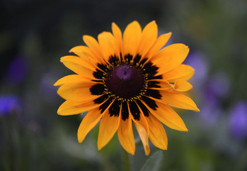 Similar image 22254278