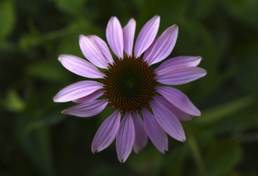 Similar image 22254280