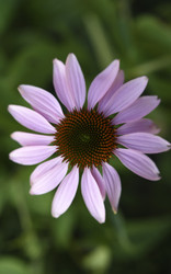 Similar image 22254281