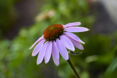 Similar image 22254282