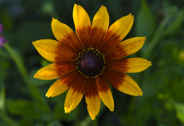 Similar image 22254283