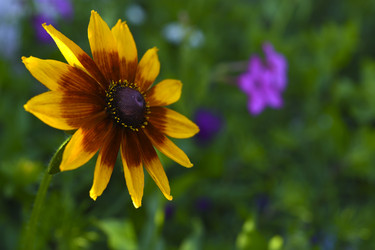 Similar image 22254284