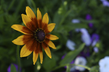 Similar image 22254285