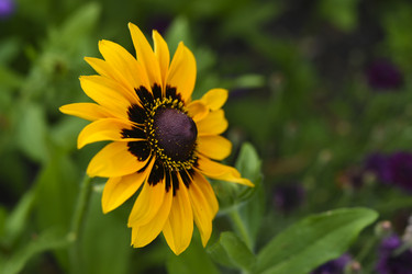 Similar image 22254286