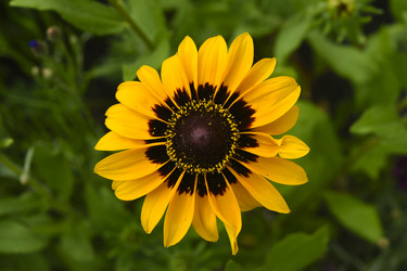 Similar image 22254287