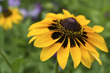 Similar image 22254289