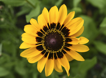 Similar image 22254290